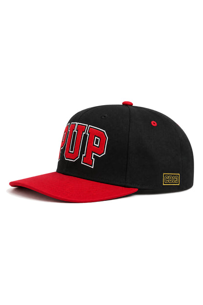 Kennel Club PUP Ball Cap