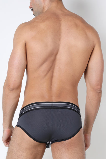 Kennel Club ATLAS Brief - TIMOTEO