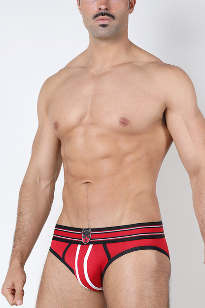 Kennel Club ATLAS Brief - TIMOTEO