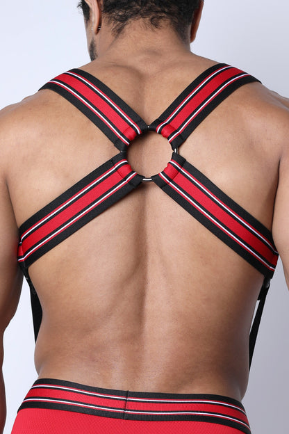 Kennel Club ATLAS Suspender Harness - TIMOTEO