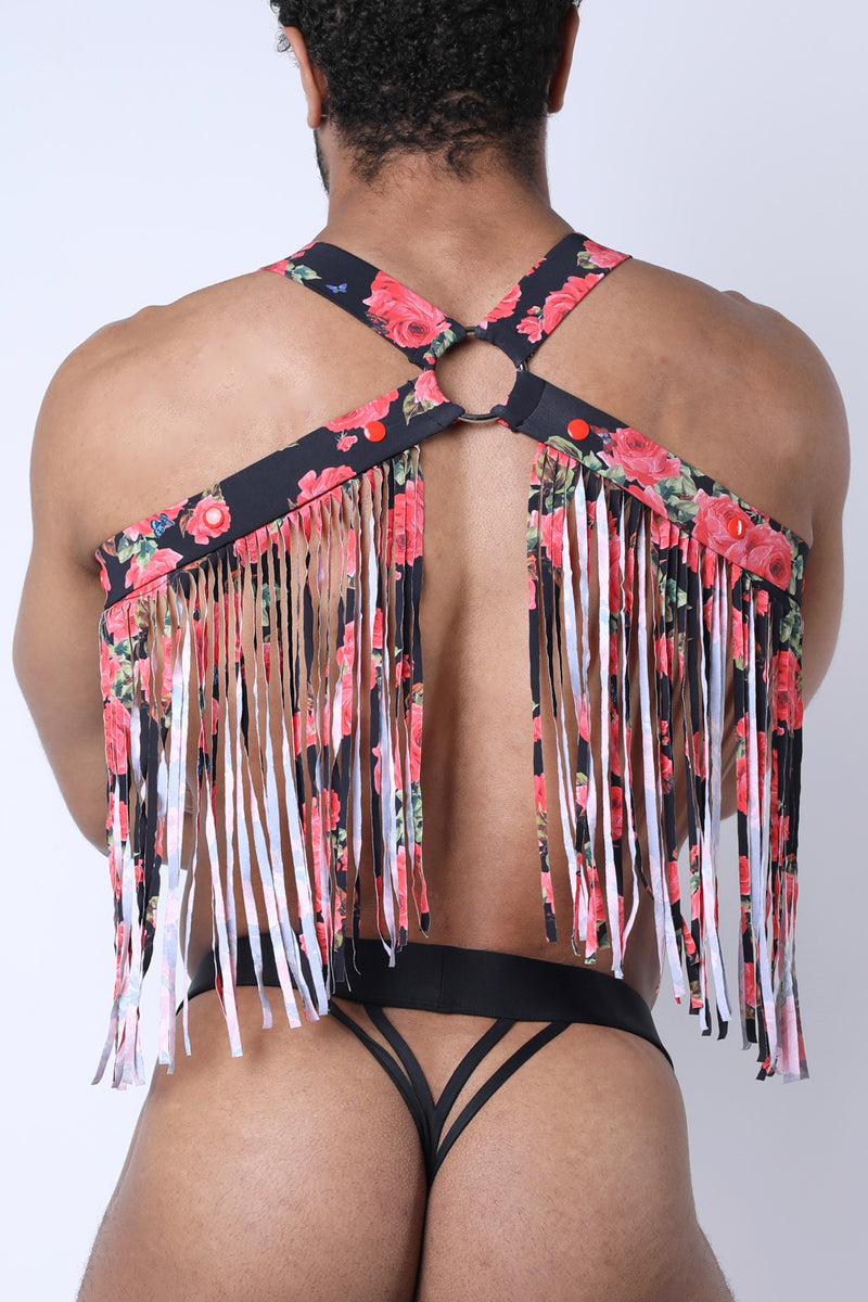 Vaux Playa Harness - TIMOTEO