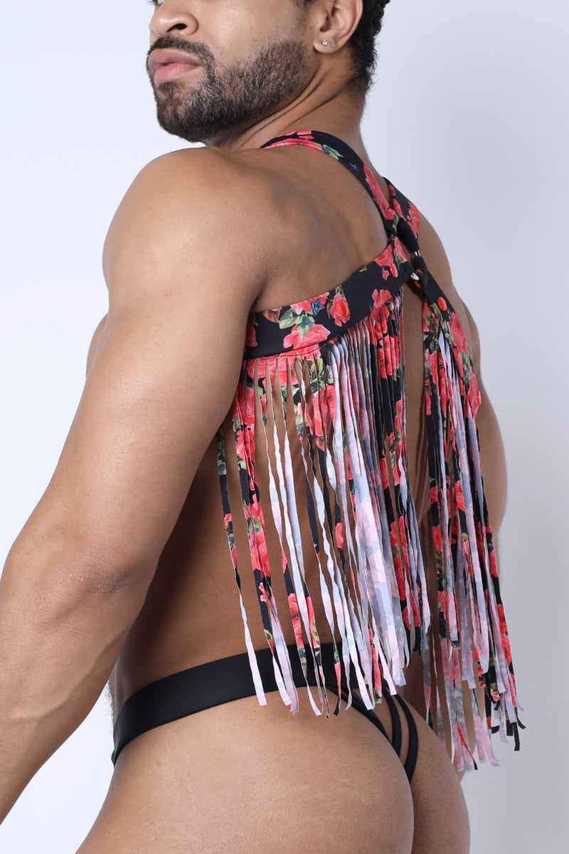 Vaux Playa Harness - TIMOTEO